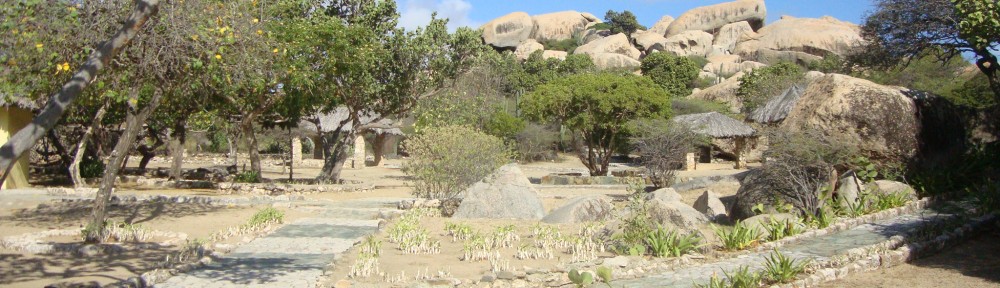 Guia de Aruba