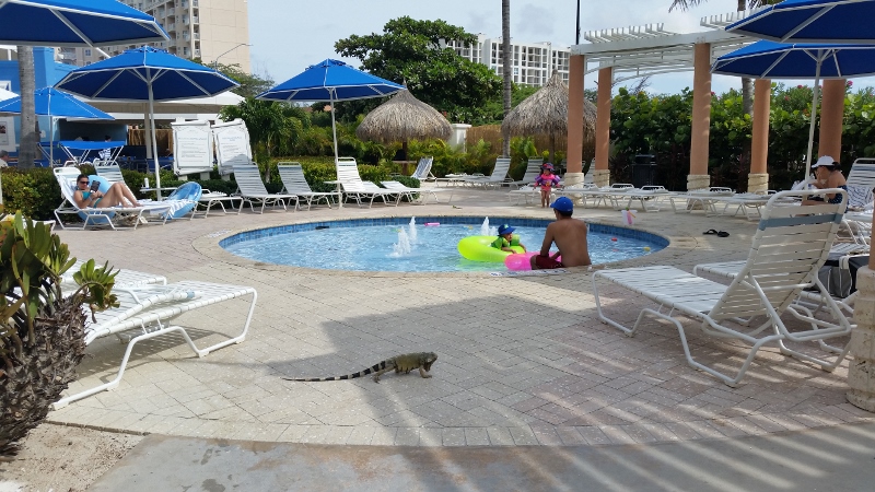 piscina infantil